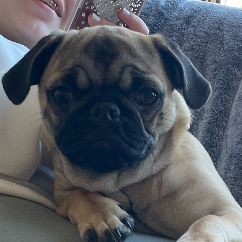 Meet your Posher, Lilyana